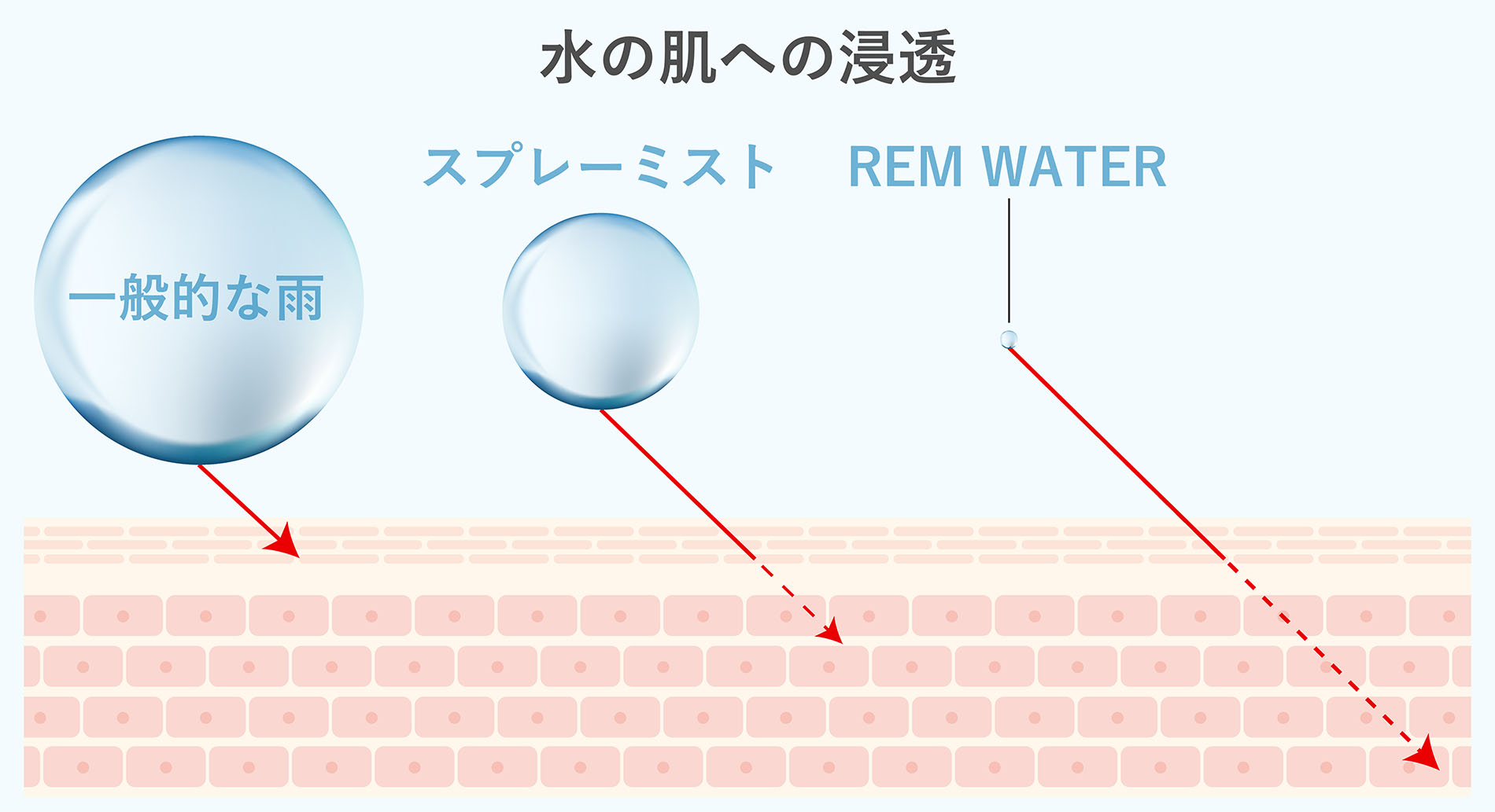 浸透率